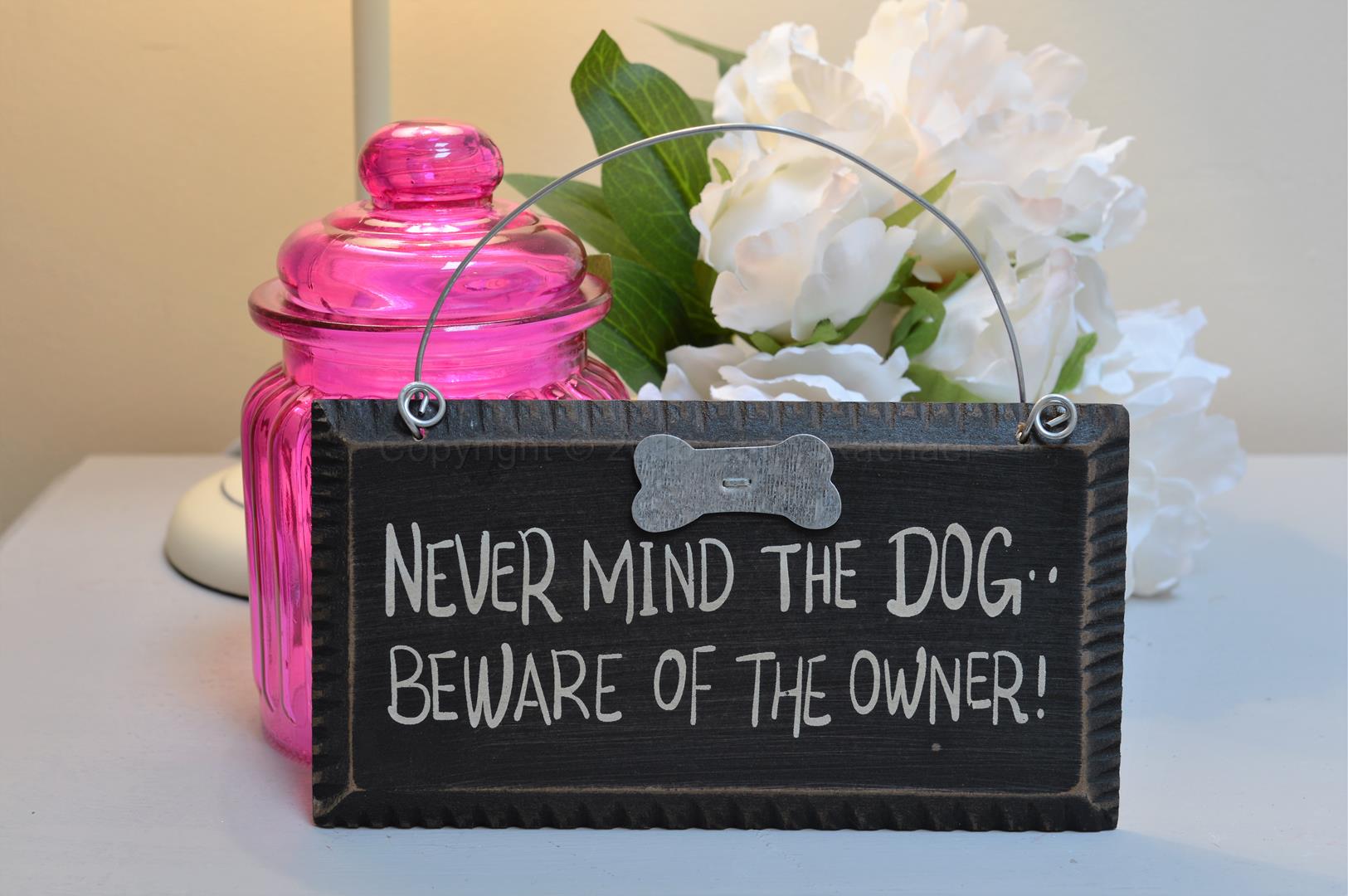 Never Mind The Dog Beware The Owner Mini Sign - Chicy Rachael