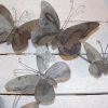 Grey Metal Butterfly Wall Art