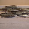 Metal School Of Fish Wall Art