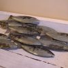Metal School Of Fish Wall Art 3