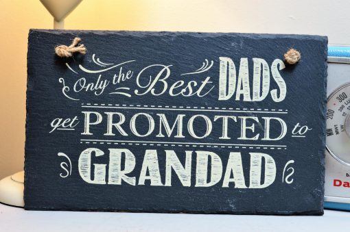 Only The Best Dads Get Promoted To Grandad 4