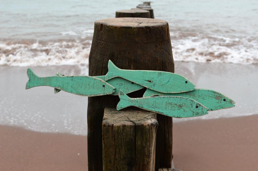 Mint Shoal Of Fish Wooden Wall Art Chicy Rachael